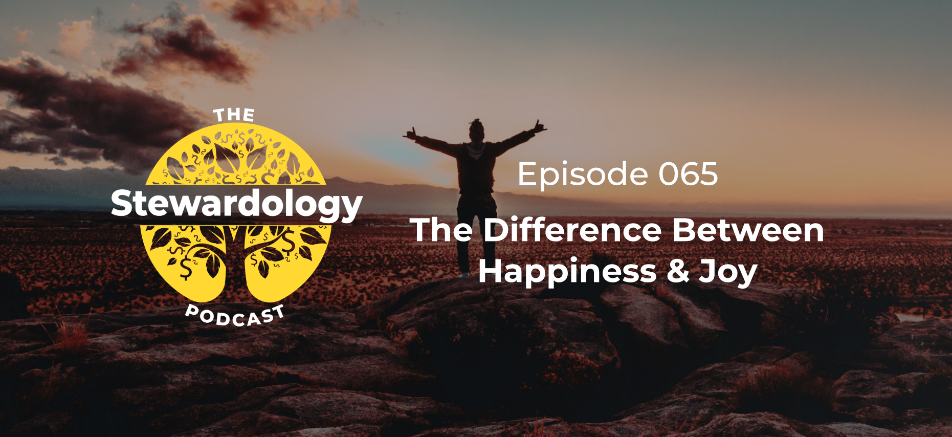 the difference between happiness and joy