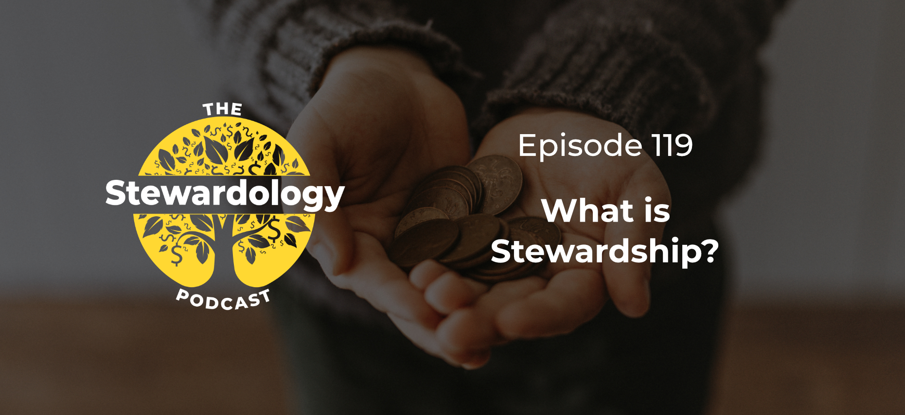 What is Stewardship?