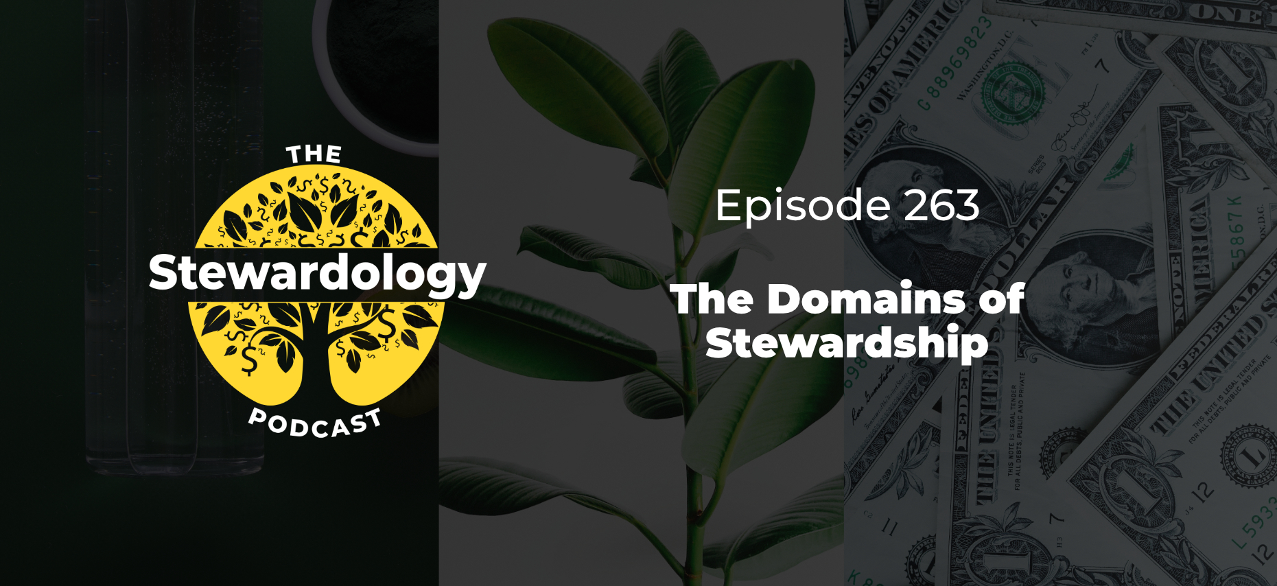 The Domains of Stewardship